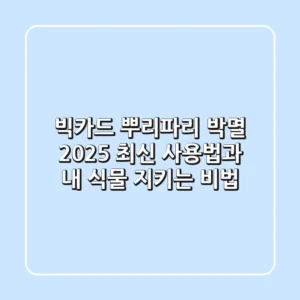 빅카드, 뿌리파리 박멸! 2025 최신 사용법과 내 식물 지키는 비법