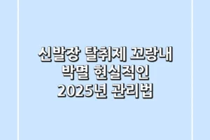 신발장 탈취제, 꼬랑내 박멸? 현실적인 2025년 관리법!