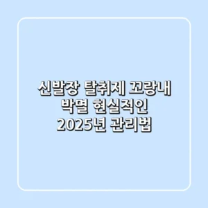 신발장 탈취제, 꼬랑내 박멸? 현실적인 2025년 관리법!