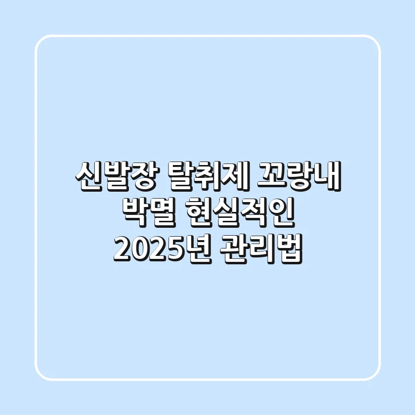신발장 탈취제, 꼬랑내 박멸? 현실적인 2025년 관리법!