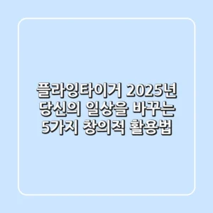 플라잉타이거, 2025년 당신의 일상을 바꾸는 5가지 창의적 활용법